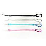 �R�C�����t�J���r�i�t